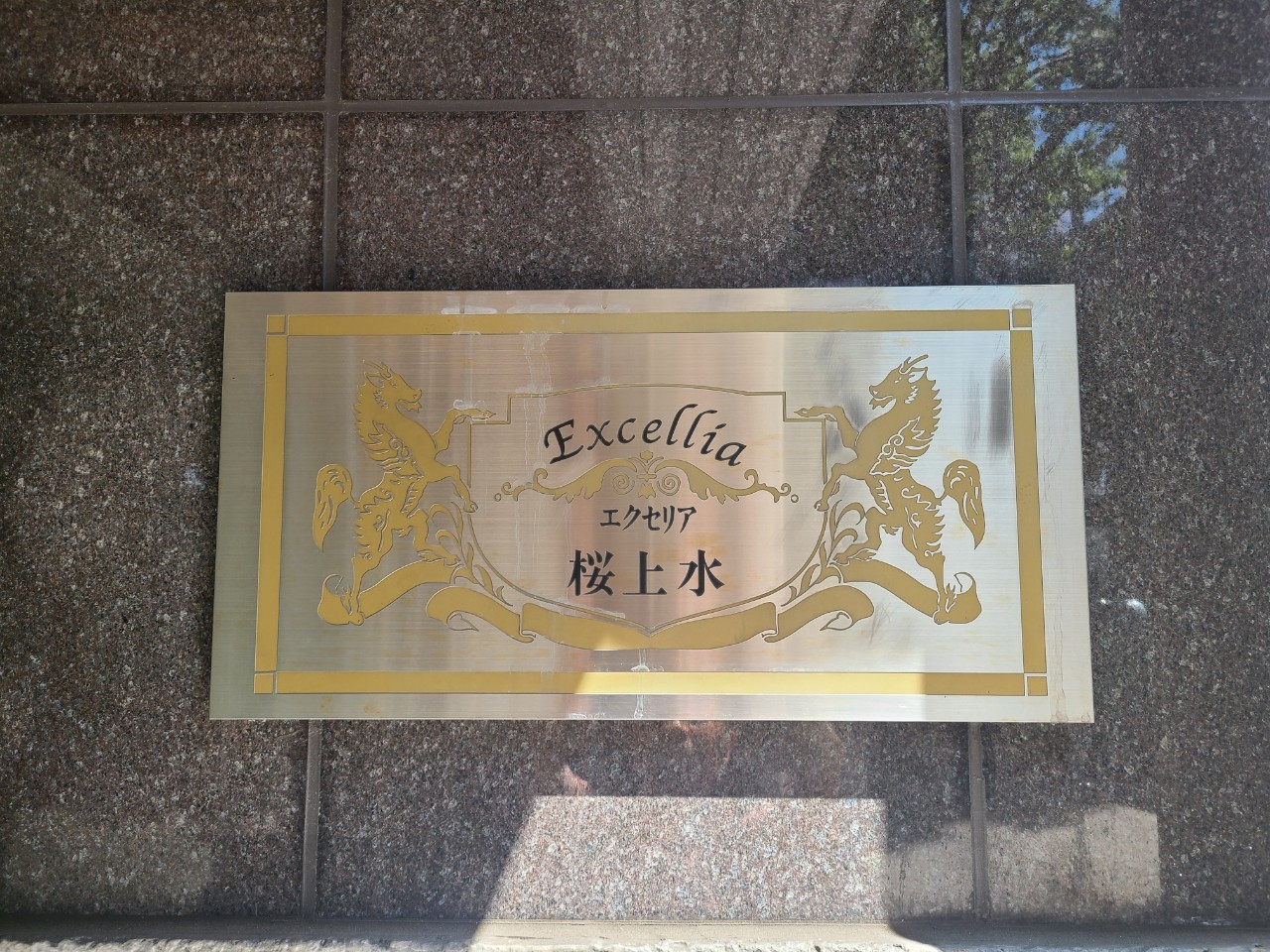 エクセリア桜上水　1001号室の写真2