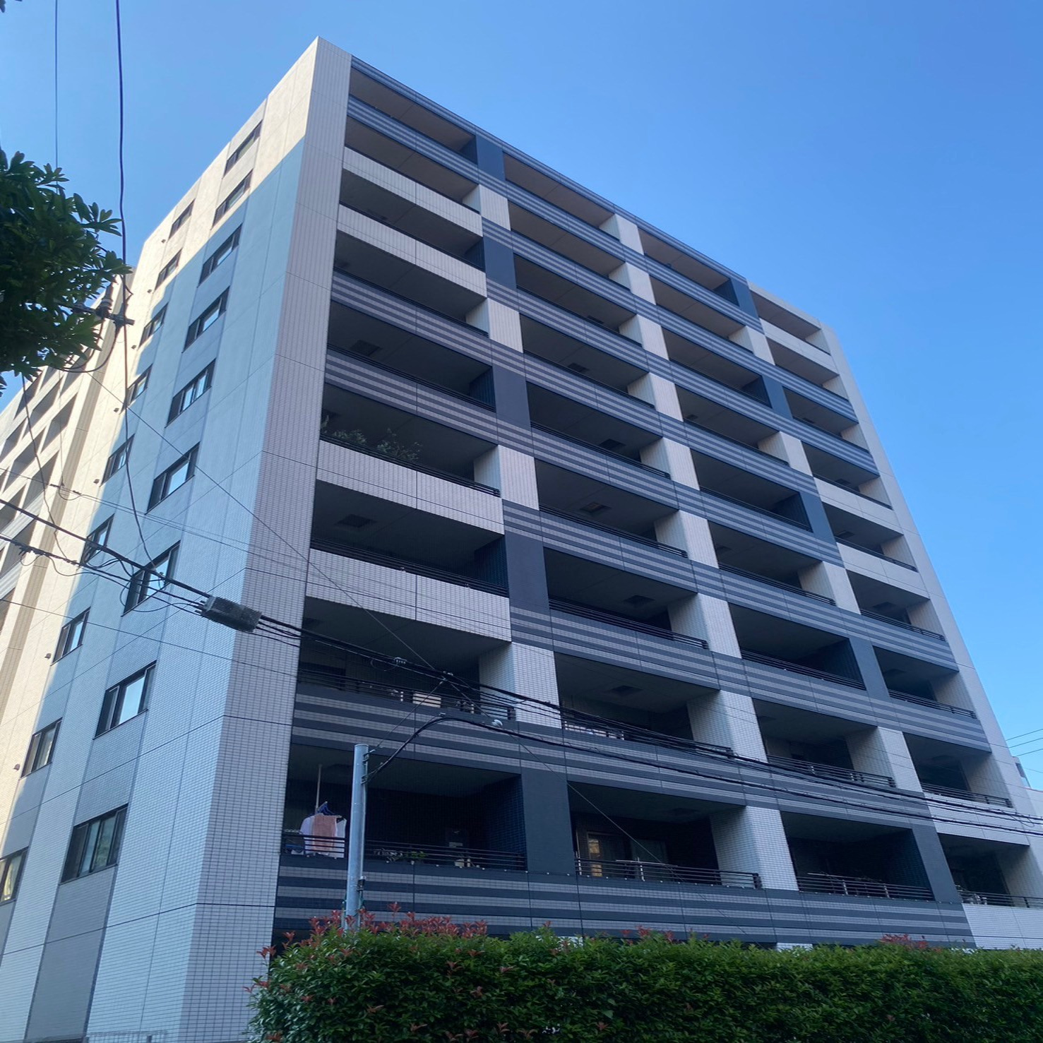 ガーラ・プレシャス横濱関内の写真2