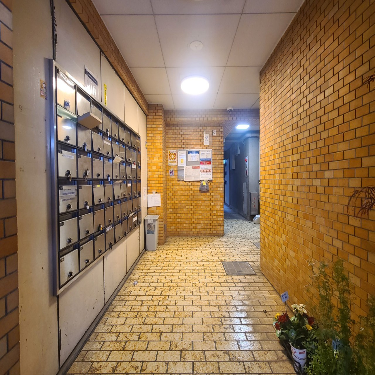 メゾン・ド・リベラルの写真6