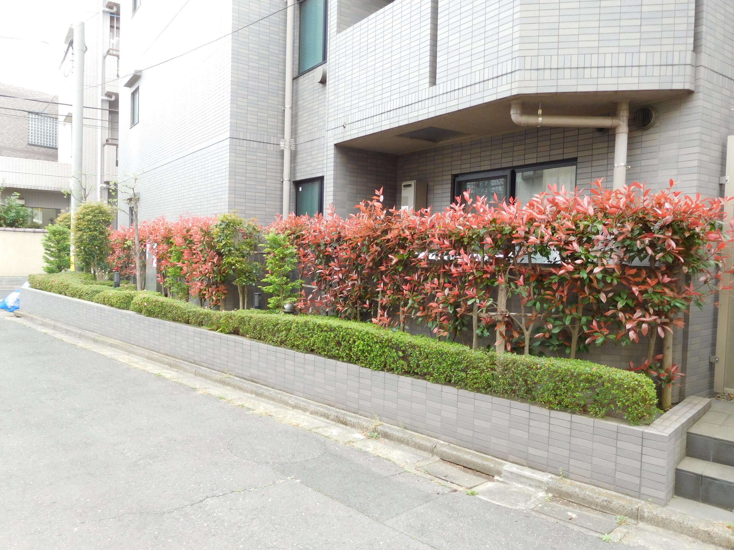 ルーブル豊島園の写真4